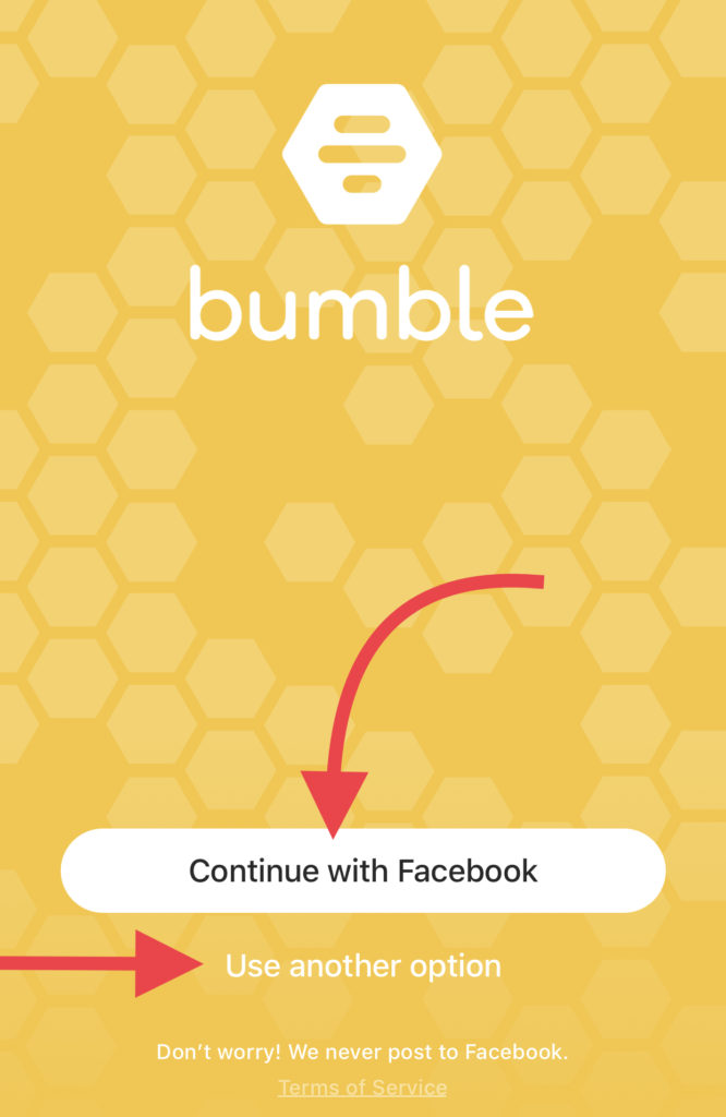 Bumble Profile 
