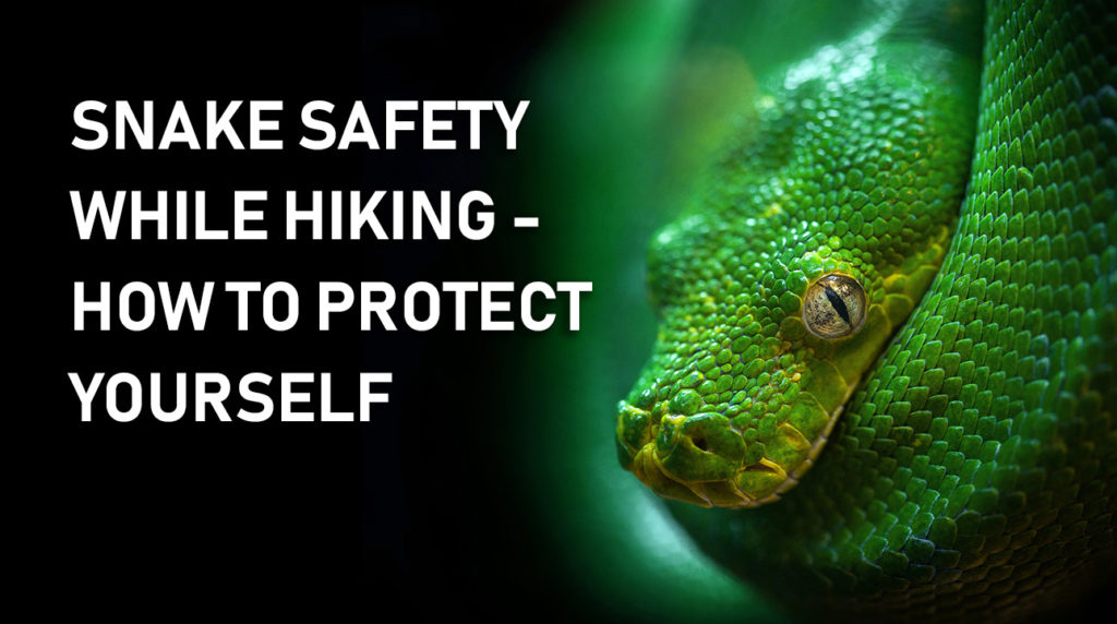 Snake Safety While Hiking - How To Protect Yourself - StarkJournal